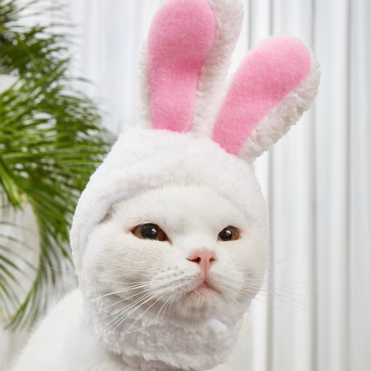 Fun Pet Costume Accessory: Adorable Rabbit Cat Headgear for Small Dogs & Cats - Perfect Party Outfit for Your Furry Friend