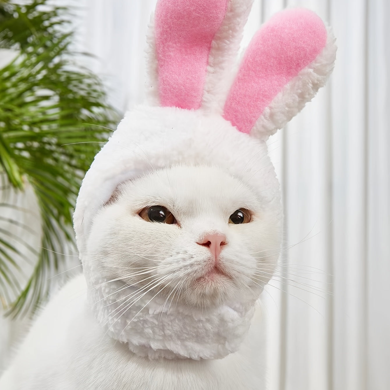 Fun Pet Costume Accessory: Adorable Rabbit Cat Headgear for Small Dogs & Cats - Perfect Party Outfit for Your Furry Friend
