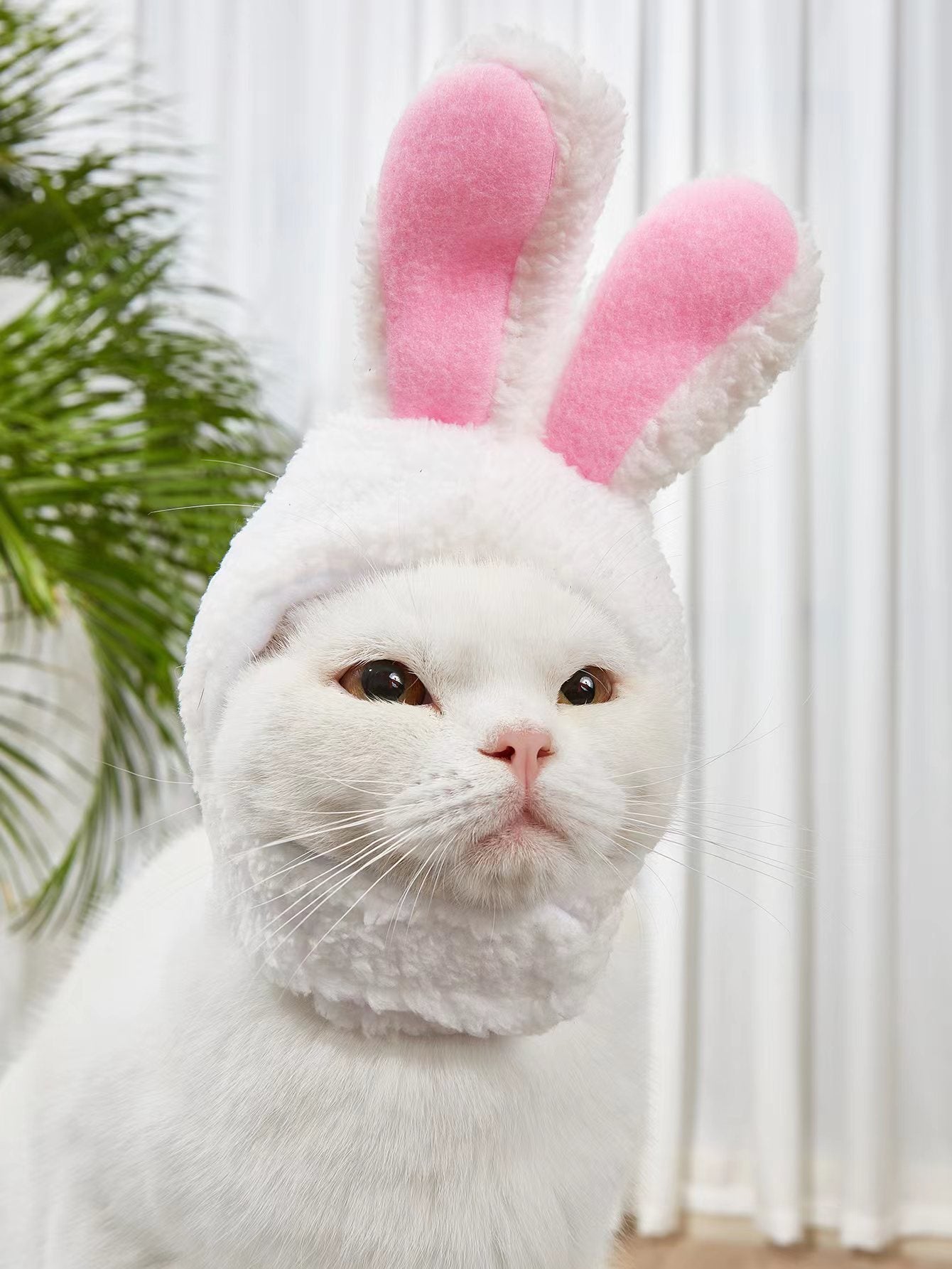 Fun Pet Costume Accessory: Adorable Rabbit Cat Headgear for Small Dogs & Cats - Perfect Party Outfit for Your Furry Friend