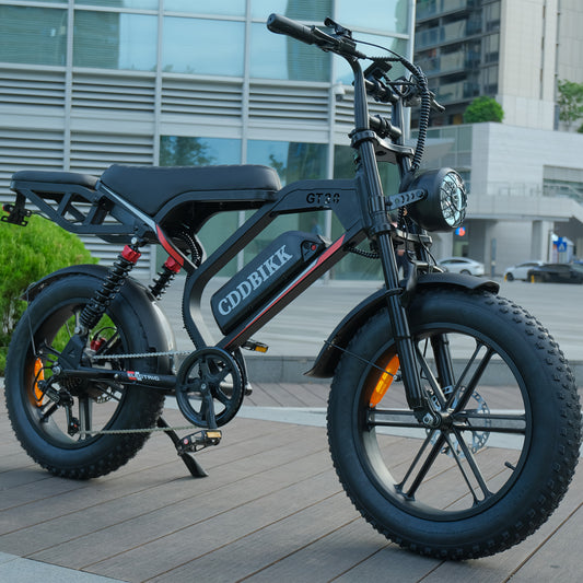 Electric Bike for Adults, 20 Inch Fat Tire Ebike with 740W Motor 48V17.5Ah Battery Up to 19MPH/ 40Miles, 7 Speed Dirt Electric Motorcycle Bicycle
